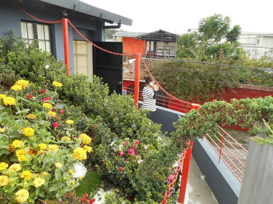 Comfy. Full Internet, Kitchen, Washer And Dryer, Netflix Chimaltenango エクステリア 写真